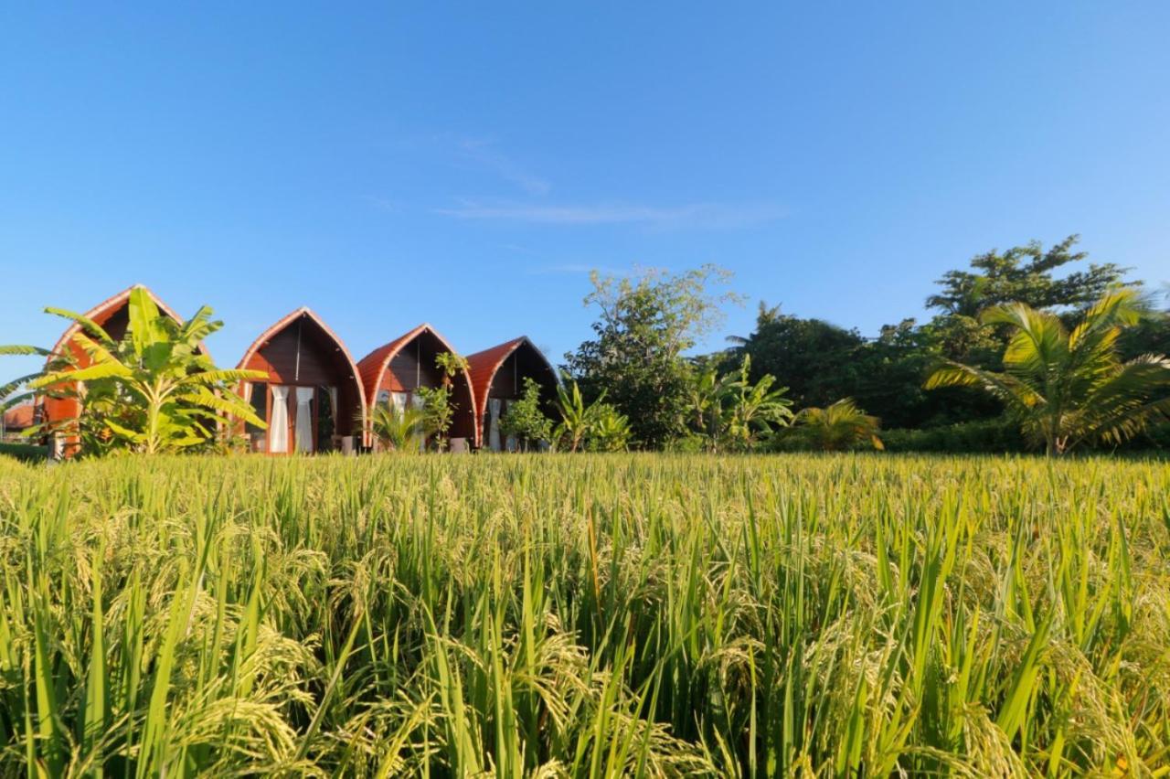 Keramas Surf Camp 호텔 외부 사진