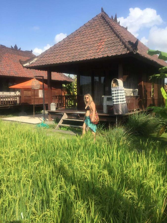 Keramas Surf Camp 호텔 외부 사진